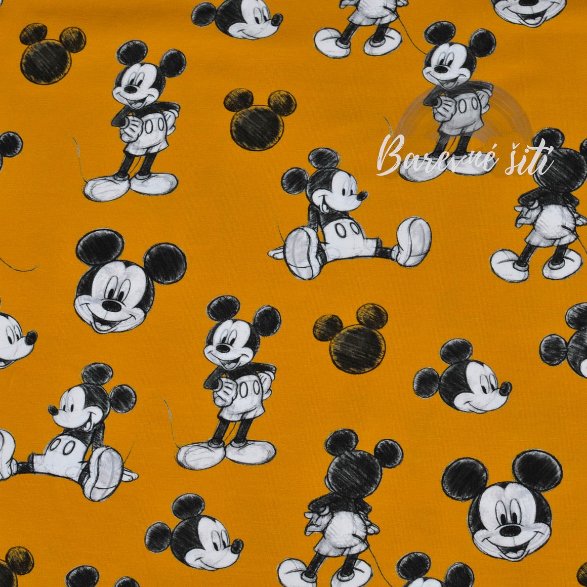 Úplet Mickey na okru (E)