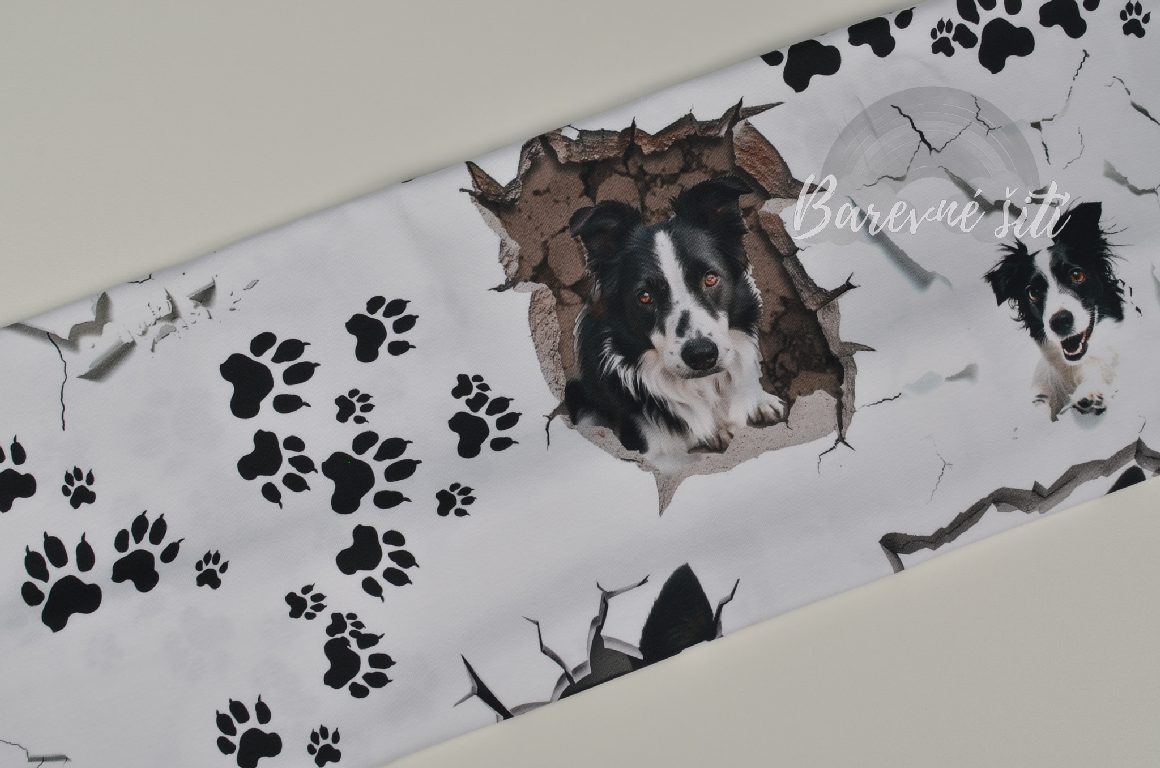 Úplet, Border kolie, ťapky (E) 0,95m/ks