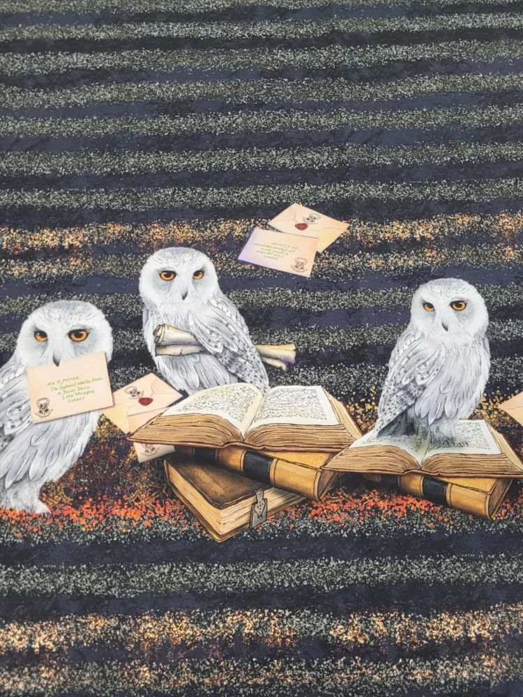 Teplákovina, Hedvika, panel (E)