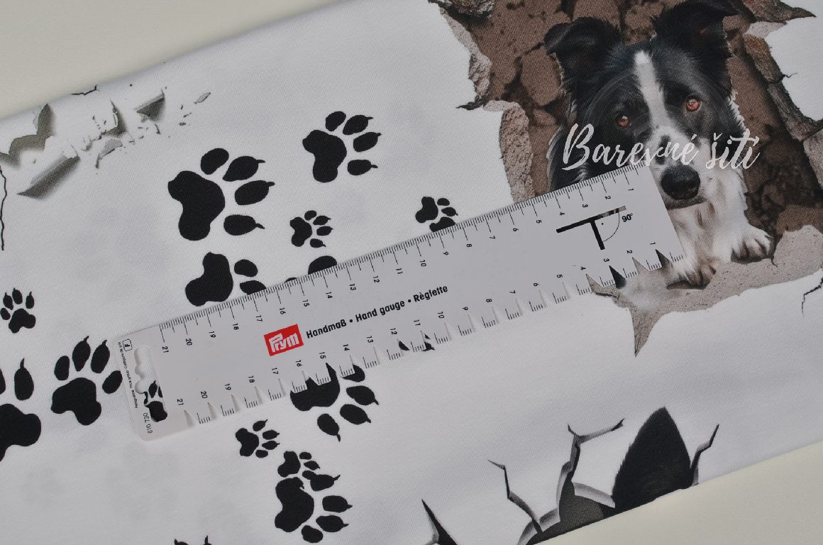 Úplet, Border kolie, ťapky (E) 0,95m/ks