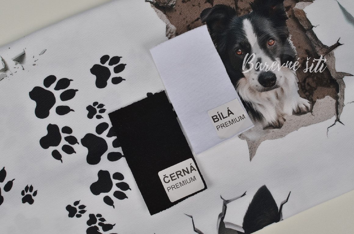 Úplet, Border kolie, ťapky (E) 0,95m/ks