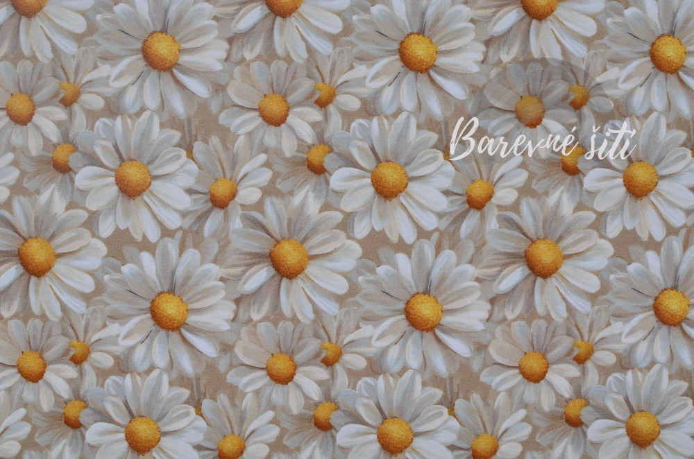 Úplet, Krémové kopretiny (E)