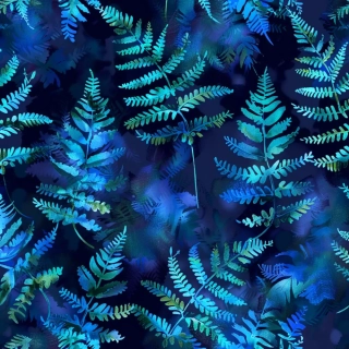 Úplet, Noční kapradí (E)