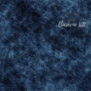 Zimní softshell Jeans imitace PŘEDOBJEDNÁVKA (P)