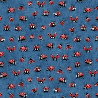 Zimní softshell Berušky na jeans PŘEDOBJEDNÁVKA (P)
