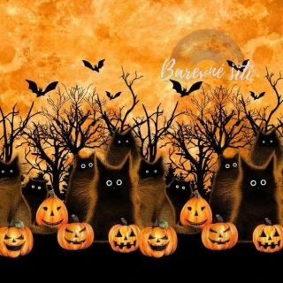 Úplet, Černé halloweenské kočky, panel (E)