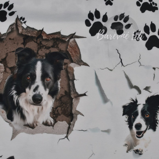 Úplet, Border kolie, ťapky (E) 0,80m/ks