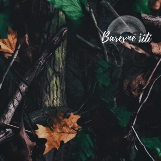 Zimní softshell Přírodní maskáč (E)