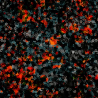 Alpina Šedočernočervená (E) 1,80m/ks