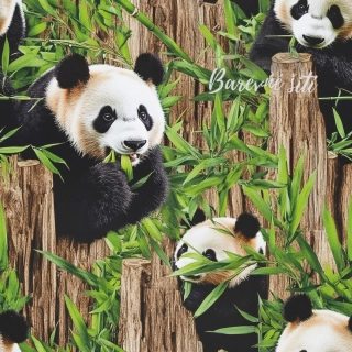 Úplet, Papající pandy (E)