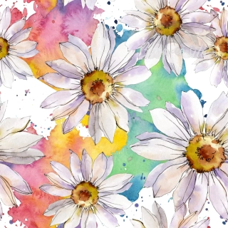 Úplet, Květy kopretin (E)