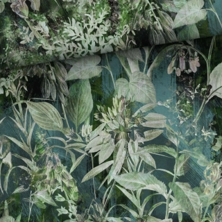 Teplákovina, Zelené keře, trávy (E)