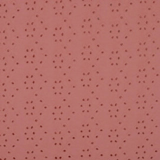 Madeira bavlněný úplet LOSOSOVÁ (E) 1,20m/ks