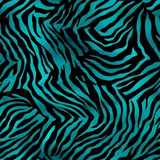 Zimní softshell Zelenočerná zebra PŘEDOBJEDNÁVKA (P)