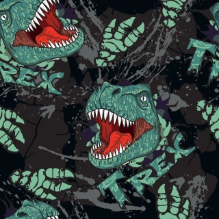 Zimní softshell T-Rex PŘEDOBJEDNÁVKA (P)
