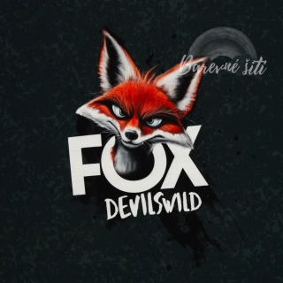 Teplákovina, Lišák, panel (E)