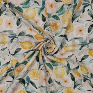 Mušelín Citrónci (E)