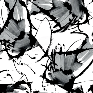 Alpina Černobílé abstraktní umění (E)