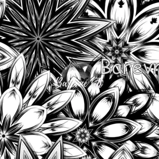 Alpina Černobílé mandaly (E)