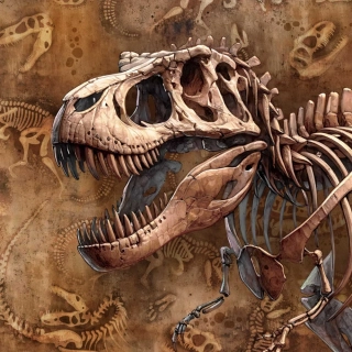 Teplákovina Dino archeologická vykopávka, panel (E)