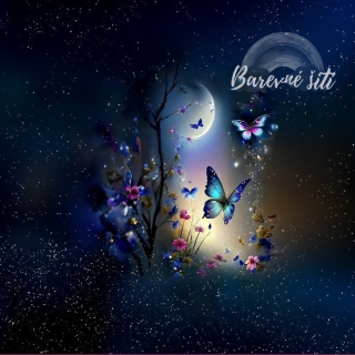 Úplet, Noční motýlci při úplňku, panel (E)