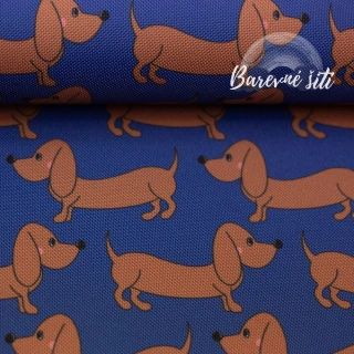 Kočárkovina, Jezevčíci na modré (E)