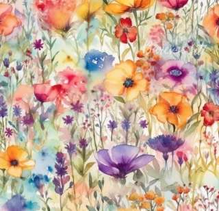 Jarní softshell Akvarelová letní louka (E)