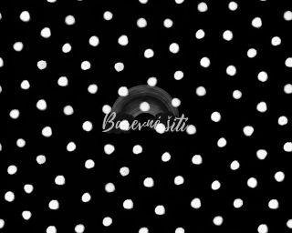 Venezia, Bílé puntíčky na černé (E)